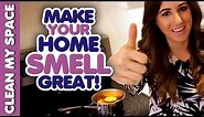 7 Ways to Make Your Home Smell Fresh & Clean! DIY Air Fresheners! (Clean My Space)