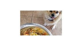 Easy Crockpot Chicken Homemade Dog Food Recipe With Video