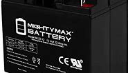 Mighty Max Battery 12V 22AH SLA Battery Replacement for BB HR22-12 - 2 Pack