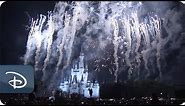 Tinker Bell Flies for 30 Years at Magic Kingdom Park | Walt Disney World