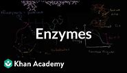 Enzymes | Energy and enzymes | Biology | Khan Academy