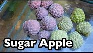 All About Sugar Apples