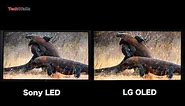 LG OLED vs Sony LED 4K HDR TV - Image Quality (After Calibration)