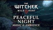 The Witcher Music & Ambience | Peaceful Night in Toussaint in 4K