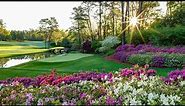 Naturescapes from Augusta National Golf Club