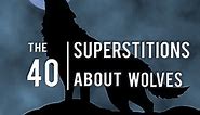 Top 40 Mythology And Superstitions About Wolves