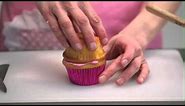 Pinkalicious Cupcake Cookbook: How to Make a Pinkalicious Cupcake!
