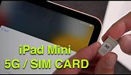 iPad Mini 6: How to Insert SIM Card