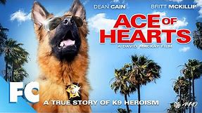 Ace Of Hearts | Full Adventure Drama Dog Movie | Dean Cain | FC