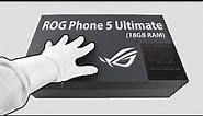 The ROG Phone 5 Ultimate Unboxing - A Monster Gaming Smartphone + Gameplay