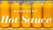 Habanero Hot Sauce | How to Make Easy and Delicious Homemade Hot Sauce