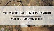 .243 vs .308 Win Caliber Comparison: Ammo Guide for Hunters