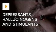 Drug Awareness: Depressants, Hallucinogens And Stimulants