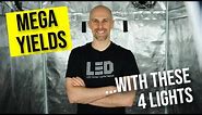 4 LED Grow Lights to DOMINATE a 5x5 Grow Space!