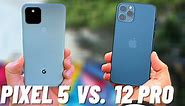 iPhone 12 vs Google Pixel 5 Camera Test Comparison!