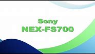 Sony NEX-FS700 - quick guide