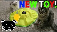 zST Reviews the Cat's Meow Deluxe Cat Toy!
