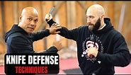 Master Wong's Wing Chun Knife Defense Techniques