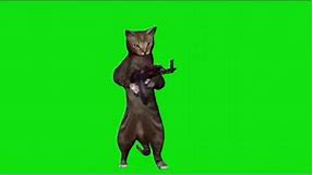 Cat Shooting Machine Gun Meme Green Screen Template