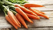 Discover the World's Largest Carrot Ever Grown