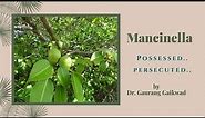 Mancinella-Possessed-Persecuted by Dr Gaurang Gaikwad