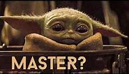 Baby Yoda (GROGU) Remembers ORDER 66 - Longer Version w/ Subtitles