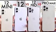 iPhone 12 Mini Vs iPhone 12 Vs iPhone 12 Pro Vs iPhone 12 Pro Max! (Comparison) (Review)