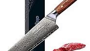 Chef Knife 8 Inch Damascus Japan VG-10 Super Stainless Steel Professional High Carbon Super Sharp Kitchen Cooking Knife, Ergonomic Color Wooden Handle Luxury Gift Box
