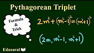 Formula and Pattern of Pythagorean Triplet | Ch-6.4.2 - 8th Std NCERT | Edusaral