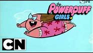 The Powerpuff Girls (Classic) - Mojo Jonesin (Full Episode)