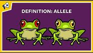 What is an Allele? Quick Definition