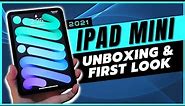 iPad mini 6 (2021) Unboxing and First Look with Camera Samples! (256GB Cellular)