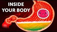 A Journey Inside Your Body