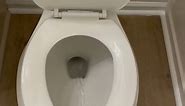 Glacier bay dual flush toilet
