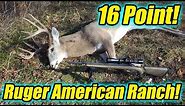 Deer Hunting with the Ruger American Ranch 7.62x39!