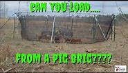 Pig Brig Catch And Load : We Were Surprised!!!