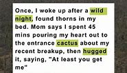 Story of a wild night and a friendship with a cactus #cactus #party #breakup #funny #memes #reels | Memedroid
