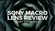Sony 50mm f/2.8 Review - The Best Sony Macro Lens On a Budget