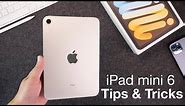 How to use iPad mini 6 + Tips/Tricks!