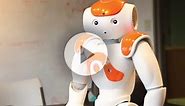 How are robots and humans similar? - Morgridge Institute for Research
