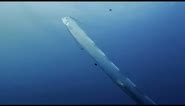 Giant Sea Serpent, Meet the Myth | 4K Documentary