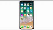 How to set up call forwarding on Apple iPhone X