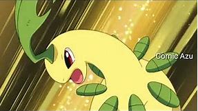 All Ash's Chikorita (Bayleef) moves / attacks |Razor leaf , Vine Whip , Tackle , Sweet scent|Pokemon