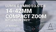 PANASONIC LUMIX G VARIO 14-42mm COMPACT ZOOM KIT LENS IN 2021 | ALBERT ART VIDEO + PHOTO | ALBERTART