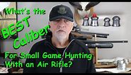 The Best Caliber for Hunting Small Game with an Air Rifle?