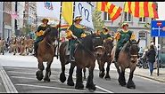 Belgian Draft Horses of different coat color in the Hanswijk procession in Mechelen