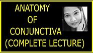 Anatomy of Conjunctiva (Complete lecture) | Structure, Fuction, Histology| Ophthalmology