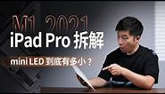 【享拆】2021 M1 iPad Pro拆解：看看mini LED到底有多小？