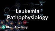Leukemia pathophysiology | Hematologic System Diseases | NCLEX-RN | Khan Academy