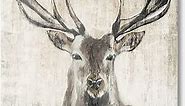 Stupell Industries Rustic Deer Elk Wildlife Portrait Canvas Wall Art, Design by Liz Jardine